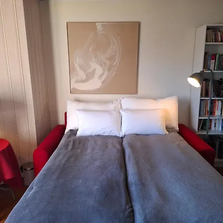 Apartment Le Nid D'aigle Centre Avec Forfait Piscine Sauna Jacuzzi En Option Leysin